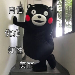 熊本熊