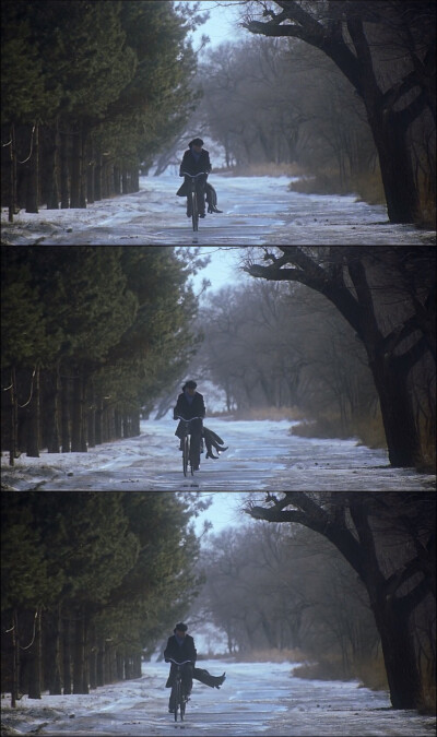 改编自小说《停车暂借问》 周迅 张信哲 邱心志主演电影【烟雨红颜】