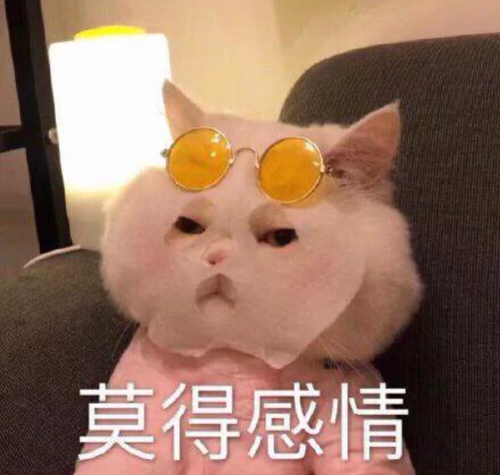 女生头像 可爱头像 猫咪头像喵星人