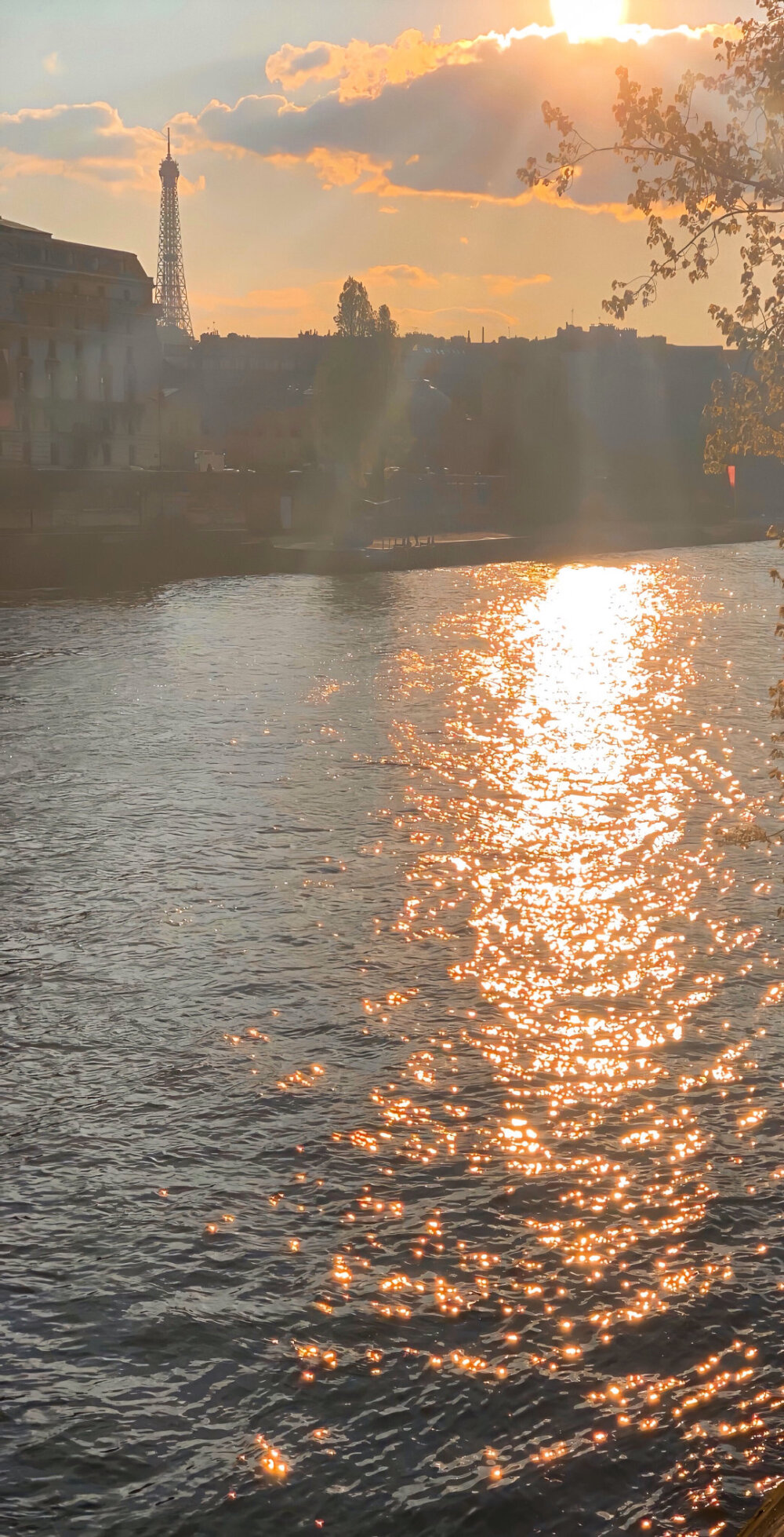 壁纸大图
♡人生大多的是背道而驰活不成想象的自己