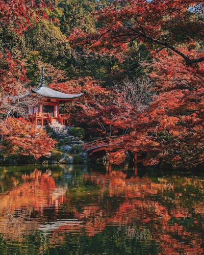 日本京都的红叶