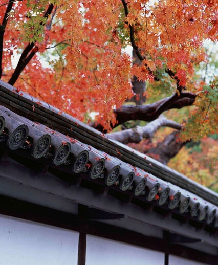 春游芳草地，夏览荷花池。秋踏落叶路，冬吟白雪诗。