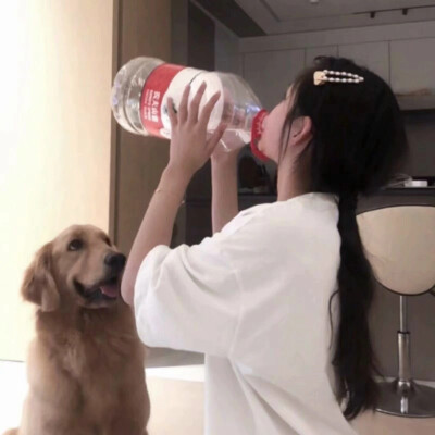 二传注明dt沈佳渝