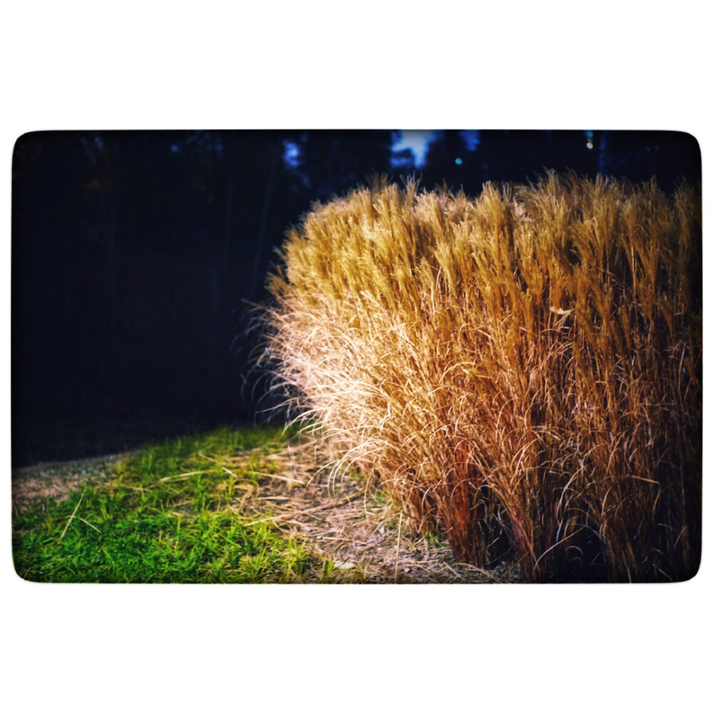 边走边拍，记录夜的色彩