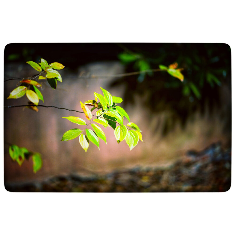 边走边拍，记录夜的色彩