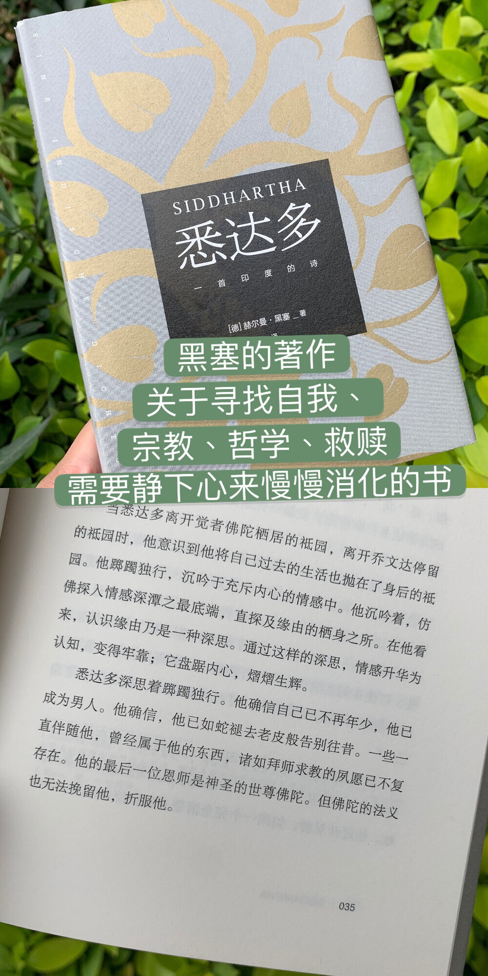 12月好物分享（fu力少不了）1️⃣节气日历2️⃣新宠口红 3ce 909 /mac ruby woo /HERA 小黑钻339 /完美日记 小酒馆H133️⃣湿又野花瓣腮红刷4️⃣《悉达多》♂️5️⃣《古典洋装全图解》6️⃣《古诗词课》7️⃣《名画中的狗》8️⃣《名画中的猫》9️⃣《名画中的鸟》平论里扯1.位小可爱宋 一本节气日历 快落过新年奔小康