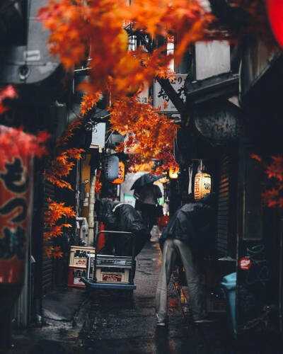 京都