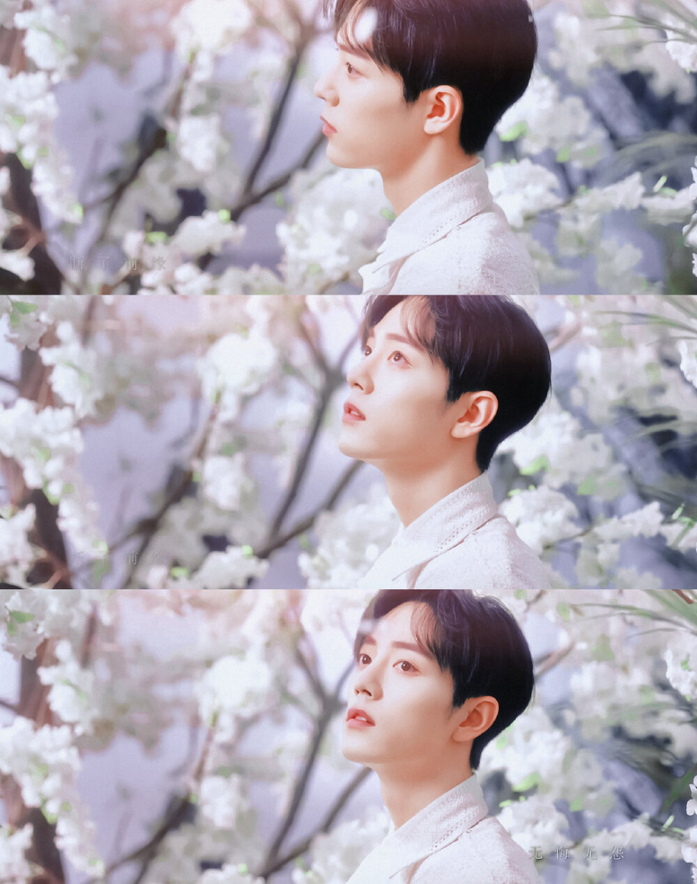 肖战 《余年》mv