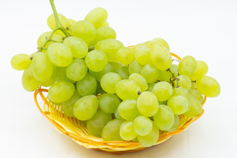 葡萄 水果 植物 球形 椭圆形 酸的 甜的 夏天 夏季 夏日 多汁的 健康