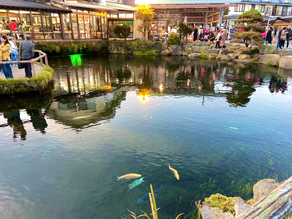 女生头像 背影 可爱 卡哇伊 洛丽塔 Lolita lo娘 软妹 女孩子 长发 小仙女 旅行 背景 开心 正能量 风景 蓝天白云 日本 大阪 京都 奈良 金阁寺 环球影城 迪士尼 