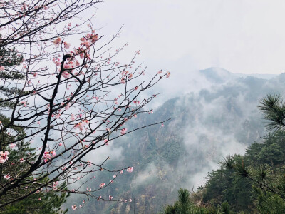 一直走，别停下，不论哪里，花都可以跟着去。