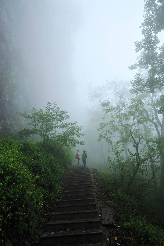 似惜雨晴天恰好，真忘名利日长闲。松筠不锁神仙境，携得烟霞满袖还。------吴沆