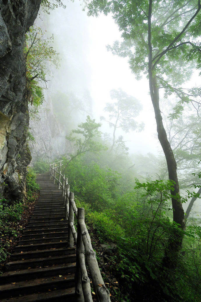 似惜雨晴天恰好，真忘名利日长闲。松筠不锁神仙境，携得烟霞满袖还。------吴沆