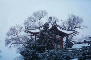 星野莲花落，明灯雪夜生。 晚安