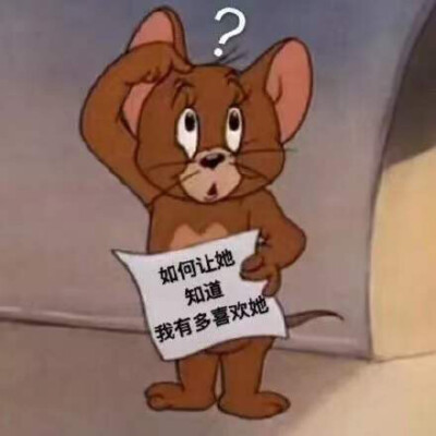 杰瑞鼠表情包