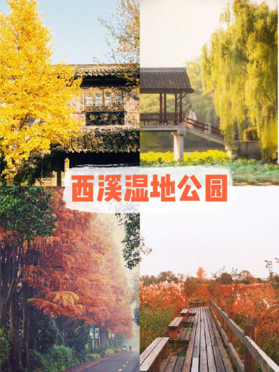 ✨杭州旅游 | 杭州周边赏秋宝藏地！一入秋，杭州便成了临安。今日带大家去看杭州诗画里的秋景，杭州周边赏秋的宝藏地分享给大家。1⃣️杭州满觉陇坐标：杭州西湖区满觉陇2号杭州最美秋景！满觉陇真的是每个季节都很…