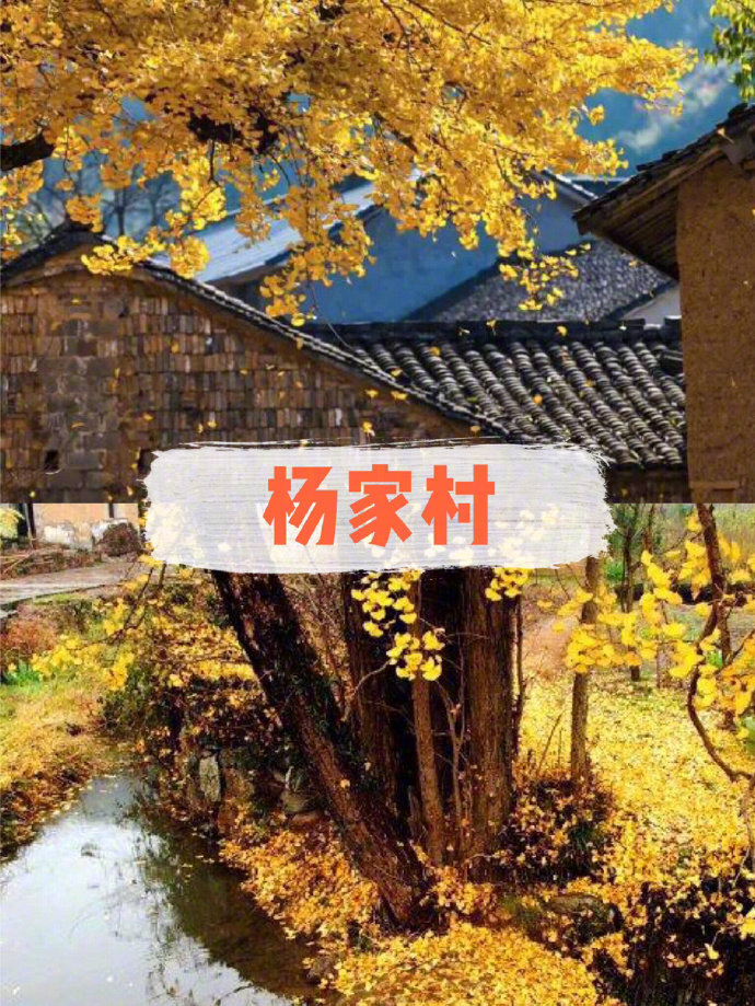 ✨杭州旅游 | 杭州周边赏秋宝藏地！一入秋，杭州便成了临安。今日带大家去看杭州诗画里的秋景，杭州周边赏秋的宝藏地分享给大家。1⃣️杭州满觉陇坐标：杭州西湖区满觉陇2号杭州最美秋景！满觉陇真的是每个季节都很美！距离西湖也很近，秋日整街的桂花～据说有7000多支桂花！桂花羹和桂花龙井超赞的！2⃣️杭州九溪风景区坐标：杭州西湖区龙井路435号在杭州你也能看到美不胜收的红枫景致，一定要在深秋去！秋天枫叶红是另一种景象！从九溪可以徒步至龙井村等景点，沿途都是好风光！3⃣️杭州.太子湾公园坐标：杭州市西湖区南山路5-1号走进山水画里的红枫之乡，深秋的红枫更为太子湾增添一份浪漫。水边的三