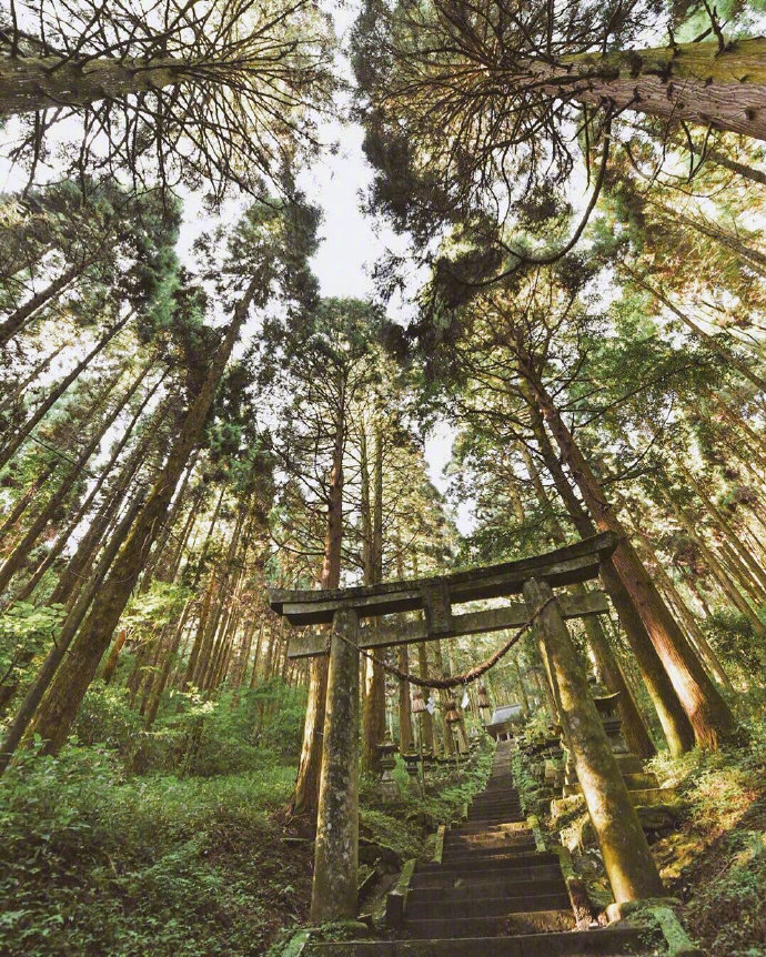 日本奇幻之景 | 萤火之森取景地上色见熊野座神社☺️相信对于爱看动漫的人来说，对于那些经常出现在二次元的场景都会有一股憧憬，今天介绍的上色见熊野座神社就是人气少女漫画作品《萤火之森》的取景地之一。或许很多人并不熟悉这部漫画，但如果说作者就是负责作画《夏目友人帐》的绿川ゆき大师的话，大家应该就不陌生了吧！在Instagram上美图的推波助澜之下，让偏僻的上色见熊野座神社被越来越多人熟知，不少二次元爱好者都会特地去打卡。✨虽然能够瞥见红叶的晚秋或飘雪的冬天前往也不错，但还是绿色植物茂盛的春夏季节为最佳探访季节，通往神社的路绿油油一片让人彷彿误入的异世界。阴雨、清晨，黄昏时期前往