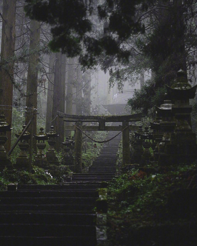 日本奇幻之景 | 萤火之森取景地上色见熊野座神社☺️相信对于爱看动漫的人来说，对于那些经常出现在二次元的场景都会有一股憧憬，今天介绍的上色见熊野座神社就是人气少女漫画作品《萤火之森》的取景地之一。或许很多人并不熟悉这部漫画，但如果说作者就是负责作画《夏目友人帐》的绿川ゆき大师的话，大家应该就不陌生了吧！在Instagram上美图的推波助澜之下，让偏僻的上色见熊野座神社被越来越多人熟知，不少二次元爱好者都会特地去打卡。✨虽然能够瞥见红叶的晚秋或飘雪的冬天前往也不错，但还是绿色植物茂盛的春夏季节为最佳探访季节，通往神社的路绿油油一片让人彷彿误入的异世界。阴雨、清晨，黄昏时期前往