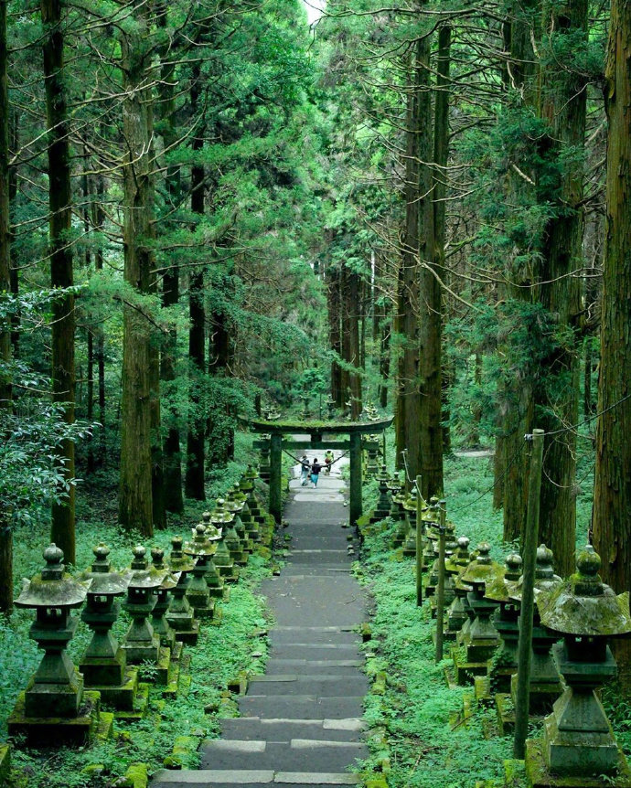 日本奇幻之景 | 萤火之森取景地上色见熊野座神社☺️相信对于爱看动漫的人来说，对于那些经常出现在二次元的场景都会有一股憧憬，今天介绍的上色见熊野座神社就是人气少女漫画作品《萤火之森》的取景地之一。或许很多人并不熟悉这部漫画，但如果说作者就是负责作画《夏目友人帐》的绿川ゆき大师的话，大家应该就不陌生了吧！在Instagram上美图的推波助澜之下，让偏僻的上色见熊野座神社被越来越多人熟知，不少二次元爱好者都会特地去打卡。✨虽然能够瞥见红叶的晚秋或飘雪的冬天前往也不错，但还是绿色植物茂盛的春夏季节为最佳探访季节，通往神社的路绿油油一片让人彷彿误入的异世界。阴雨、清晨，黄昏时期前往