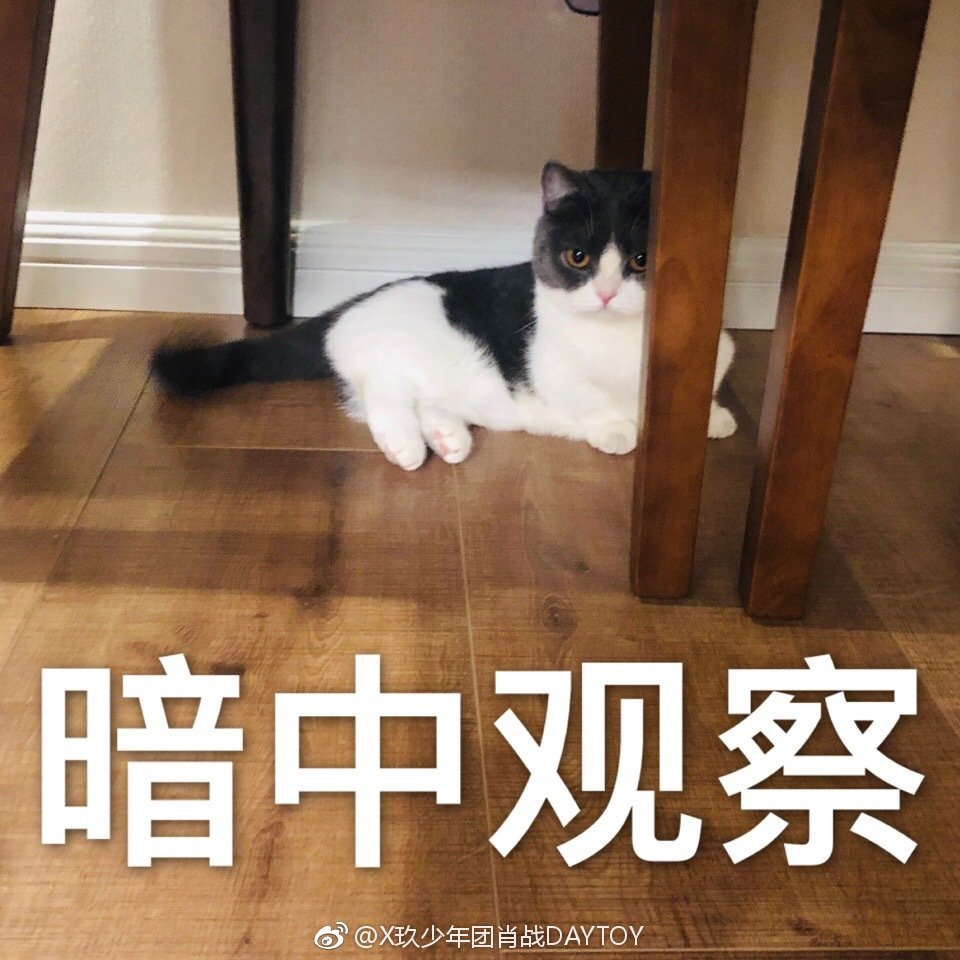 果儿！