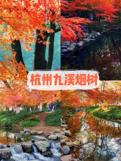 ✨杭州旅游 | 杭州周边赏秋宝藏地！一入秋，杭州便成了临安。今日带大家去看杭州诗画里的秋景，杭州周边赏秋的宝藏地分享给大家。1⃣️杭州满觉陇坐标：杭州西湖区满觉陇2号杭州最美秋景！满觉陇真的是每个季节都很…