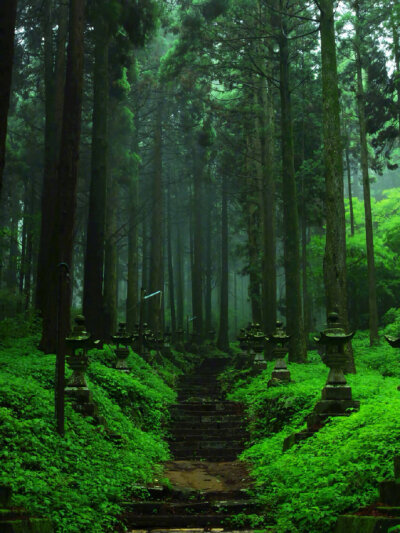 日本奇幻之景 | 萤火之森取景地上色见熊野座神社☺️相信对于爱看动漫的人来说，对于那些经常出现在二次元的场景都会有一股憧憬，今天介绍的上色见熊野座神社就是人气少女漫画作品《萤火之森》的取景地之一。或许很…