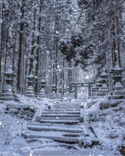 日本奇幻之景 | 萤火之森取景地上色见熊野座神社☺️相信对于爱看动漫的人来说，对于那些经常出现在二次元的场景都会有一股憧憬，今天介绍的上色见熊野座神社就是人气少女漫画作品《萤火之森》的取景地之一。或许很…