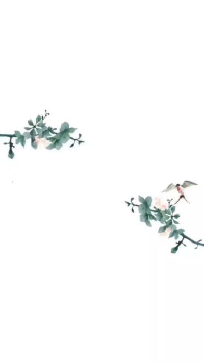 杂七杂八的壁纸~