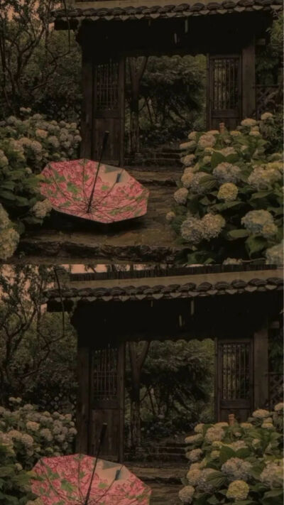 杂七杂八的壁纸~