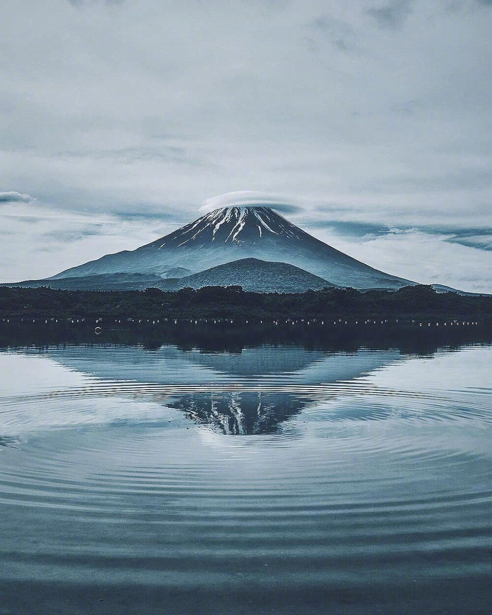 富士山下