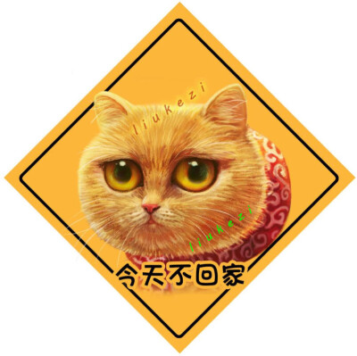 猫 狗 萌宠 可爱 头像