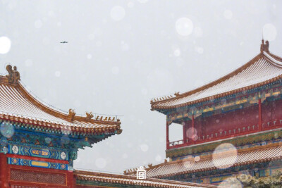 #紫禁城的瑞雪#宫阙巍峨，祺然有灵。[爱心]#爱上紫禁城# ​​​
图源：weibo 侵删