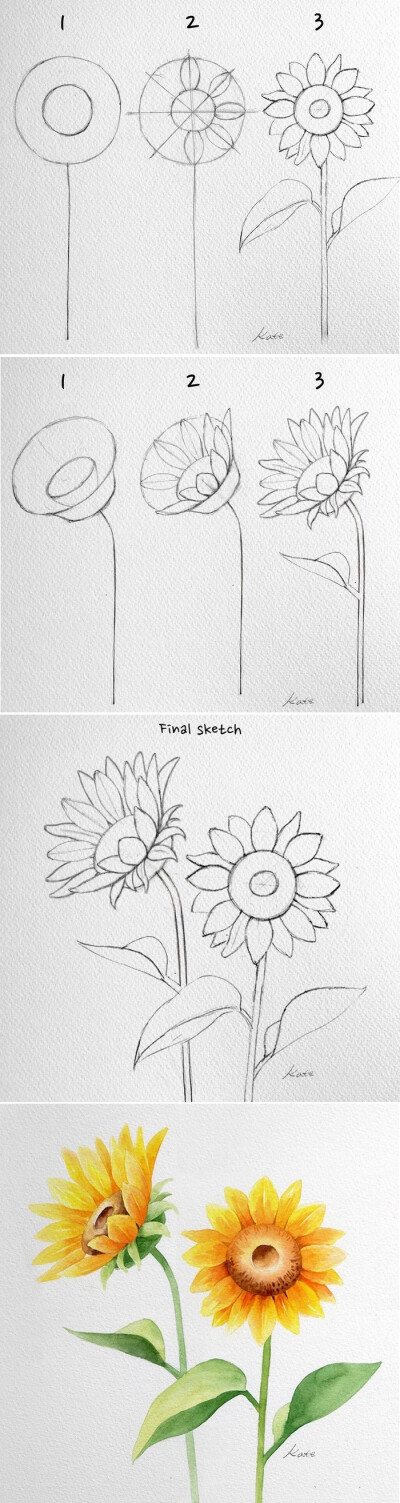 化繁为简，轻松三步教你绘制任何想要的花 ~ 韩国艺术家Kate Kyehyun Park简洁水彩绘画教程。
