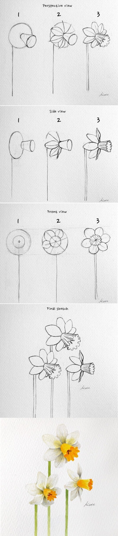 化繁为简，轻松三步教你绘制任何想要的花 ~ 韩国艺术家Kate Kyehyun Park简洁水彩绘画教程。