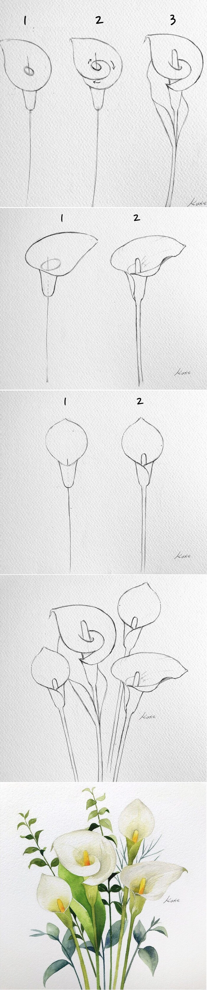 化繁为简，轻松三步教你绘制任何想要的花 ~ 韩国艺术家Kate Kyehyun Park简洁水彩绘画教程。