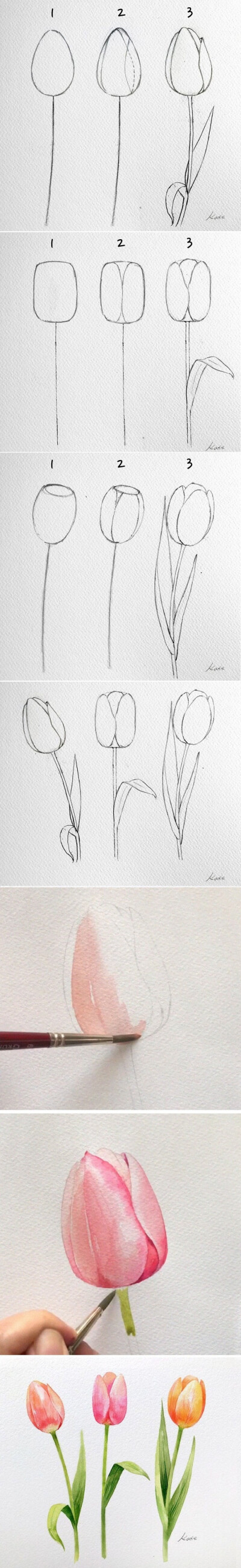 化繁为简，轻松三步教你绘制任何想要的花 ~ 韩国艺术家Kate Kyehyun Park简洁水彩绘画教程。
