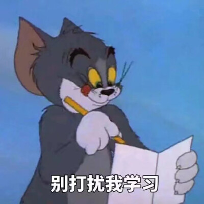 我爱学习✍