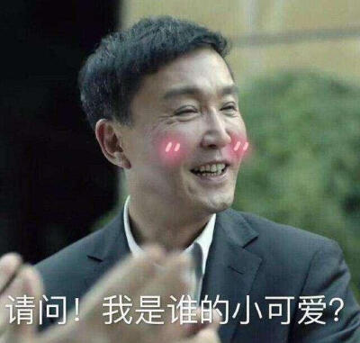 人民的名义，吴刚表情包