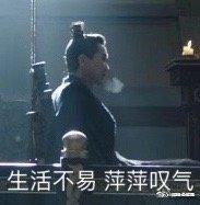 庆余年，陈萍萍表情包