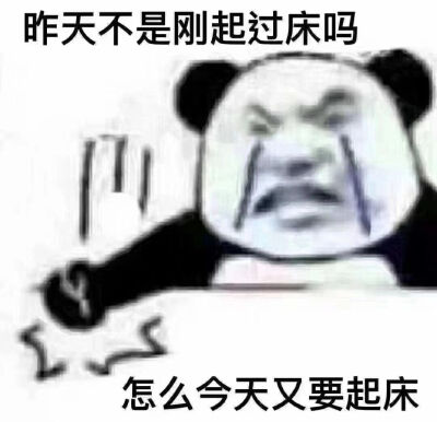 没有表情包怎能在社会立足