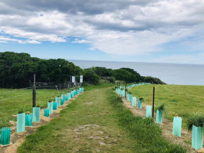 从摩拉基圆石一路来到这个岬角，有一片牧场，牧场往下走到尽头，可以看到野生的海豹还有正处于繁衍期的海鸥以及海鸥宝宝观察野生动物要距离它们十米以上哦，不要打扰是最好的礼物