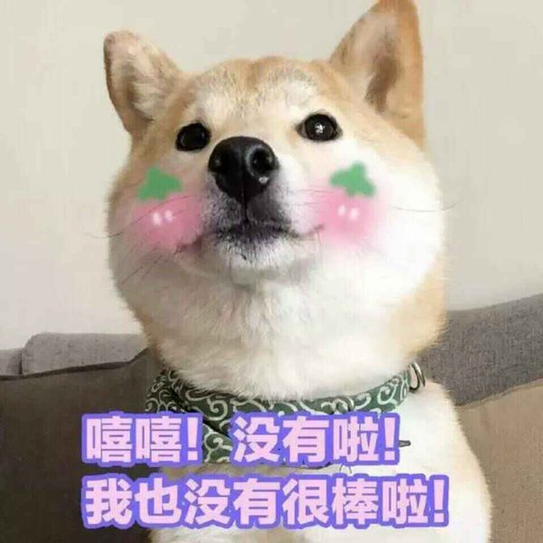 柴犬表情包