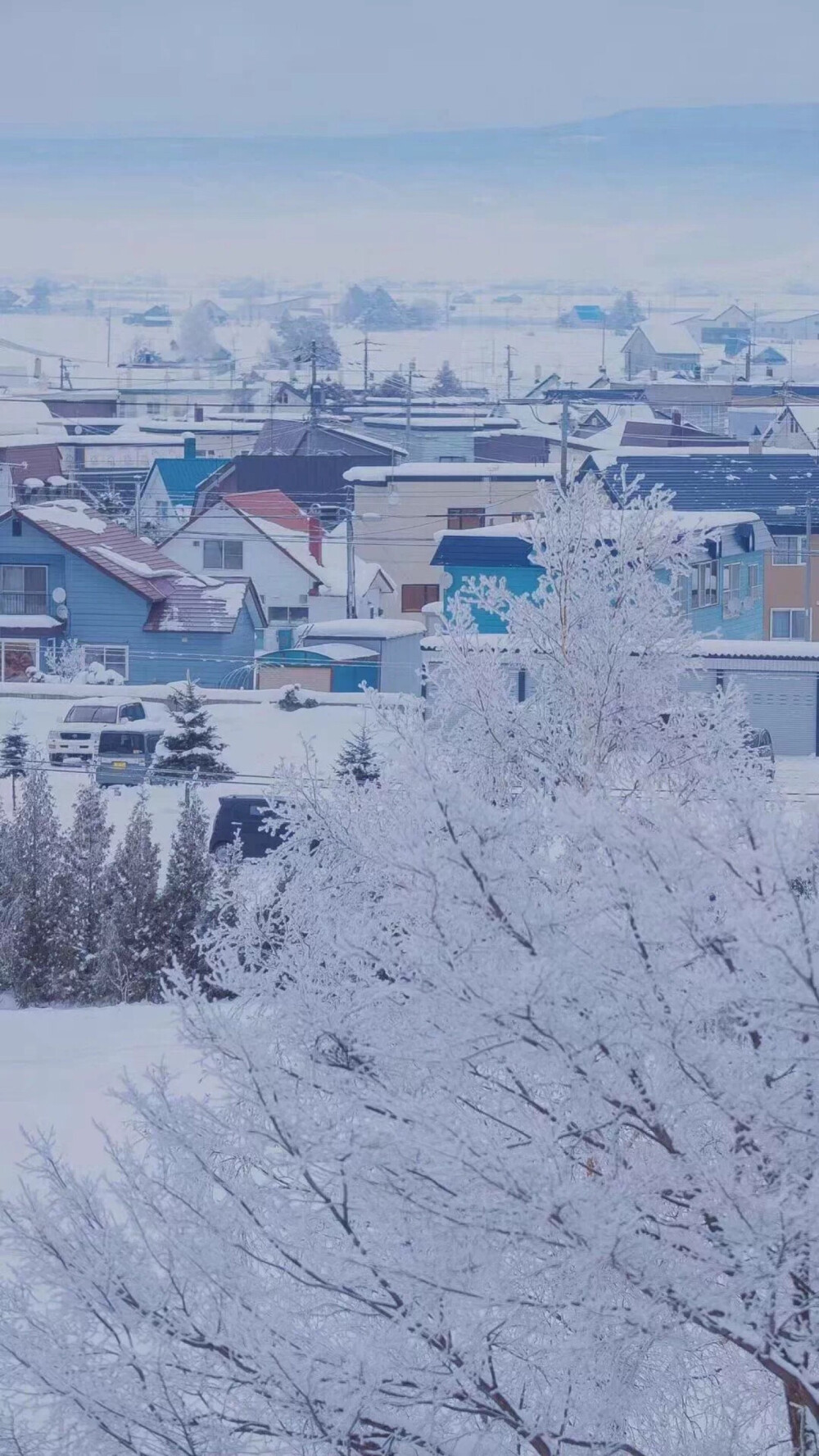 下雪的冬天喜欢吗