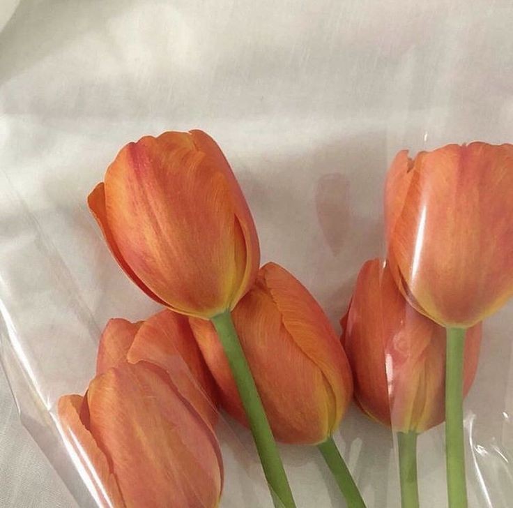 ˗ˏˋ♥︎︎ˎˊ˗