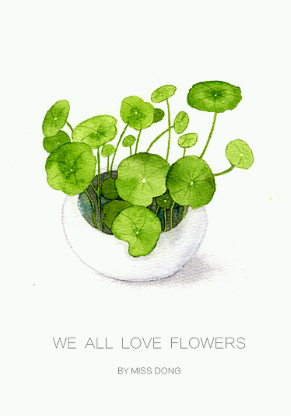 董搞搞作品，铜钱草