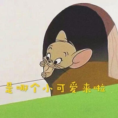 表情包