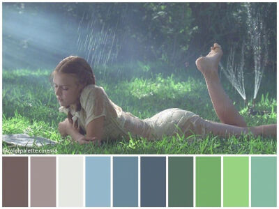 电影配色美学。ins：colorpalette.cinema