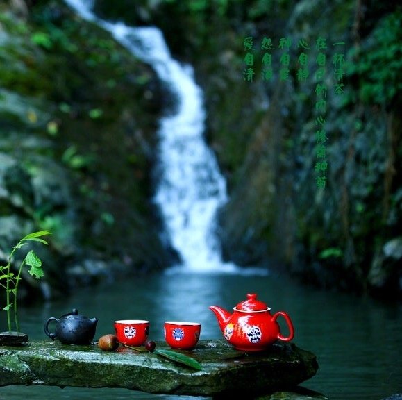 少年似花茶，春雨观花，其性纯真青年似绿茶，夏山赏绿，其情淳美中年似红茶，秋霞品红，其怀相善老年似白茶，冬雪飞白，其根归静 --- 《人生四道茶》