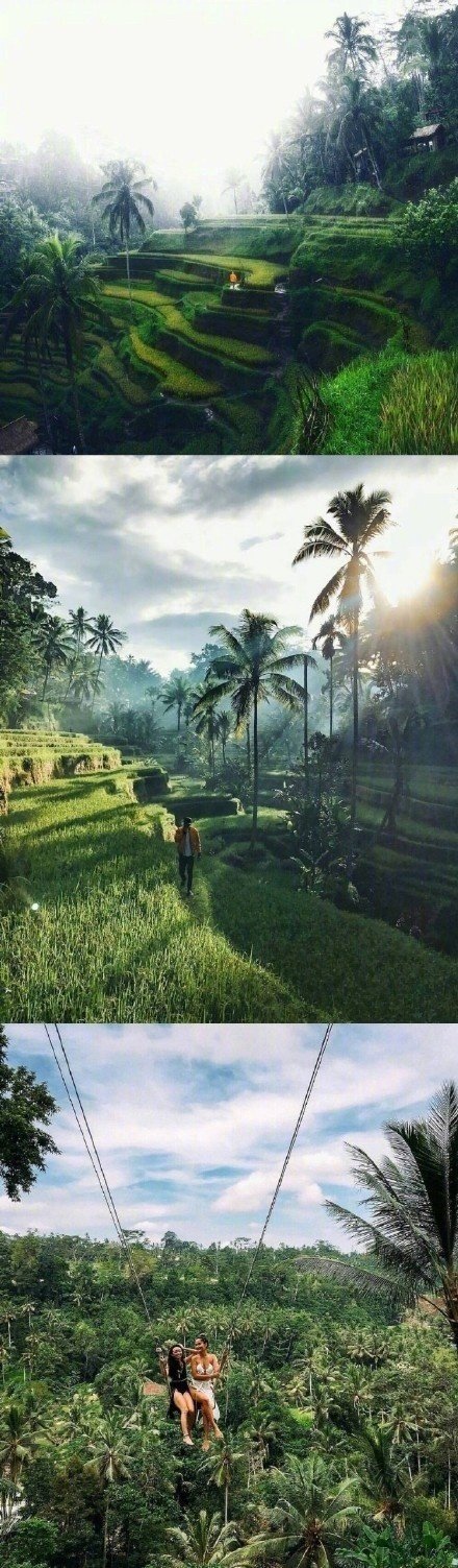 Bali 巴厘岛